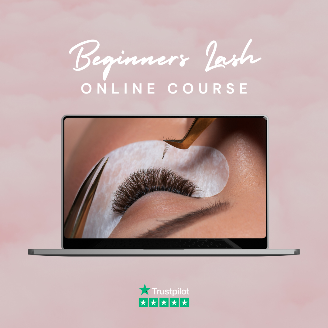 Beginners Lash Online Training Course